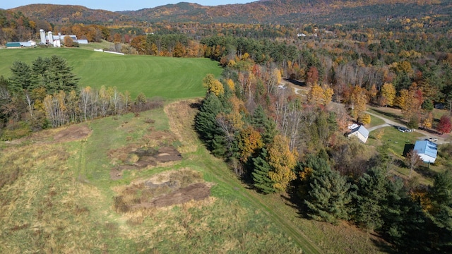 bird's eye view with a mountain view