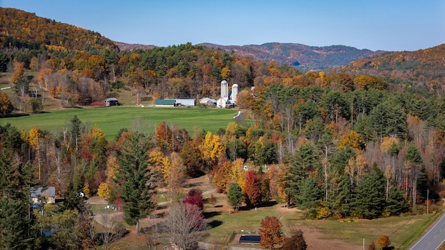 view of mountain feature