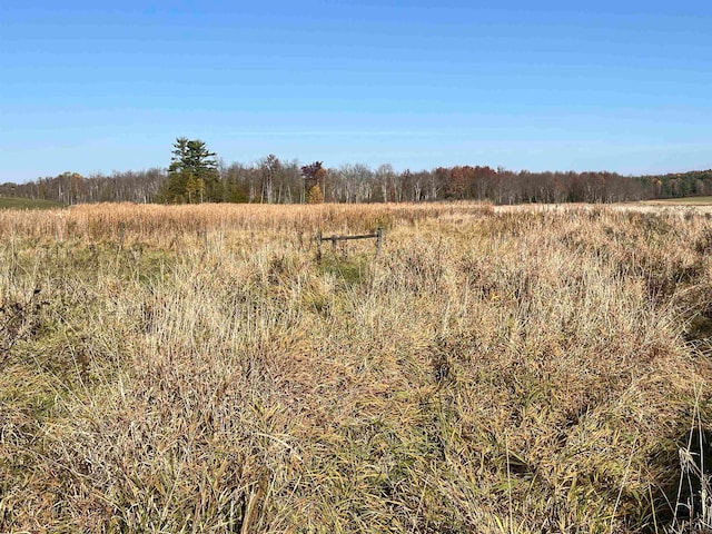 view of local wilderness with a rural view