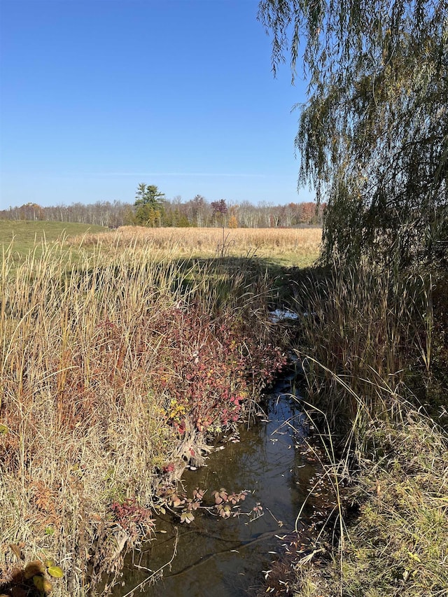 view of undeveloped land