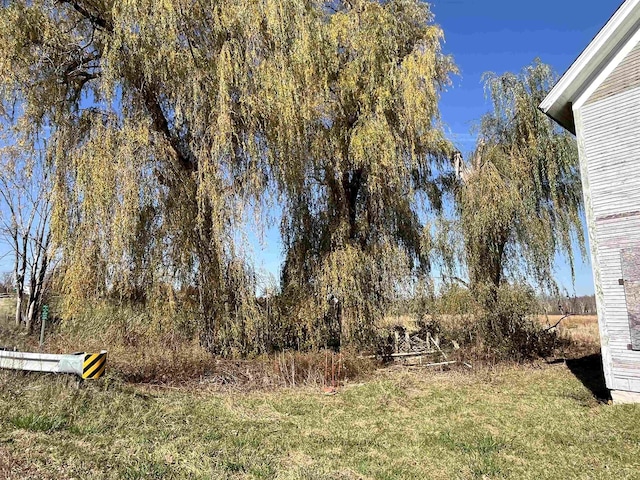 view of grassy yard
