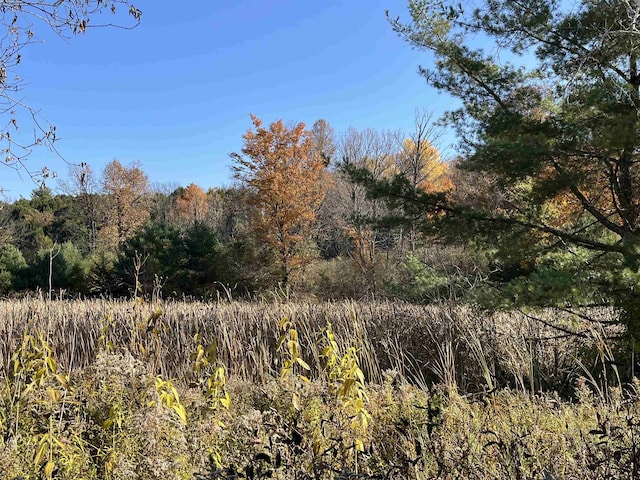 view of wooded area