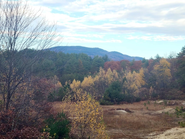 32 Monticello Dr, Andover, NH 03216
