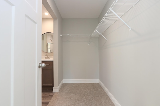 walk in closet with sink and wood-type flooring