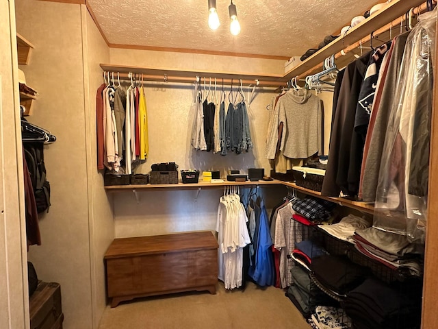 walk in closet with carpet floors