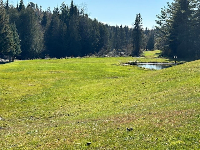 view of community featuring a water view and a lawn