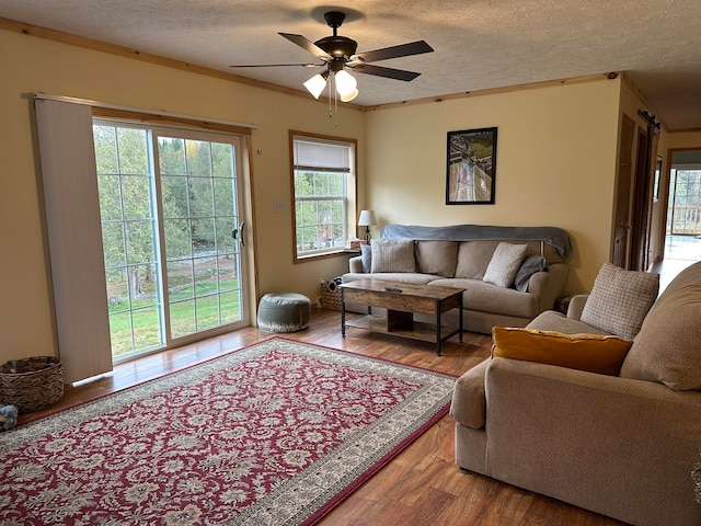 living room featuring a wealth of natural light, hardwood / wood-style floors, and ceiling fan