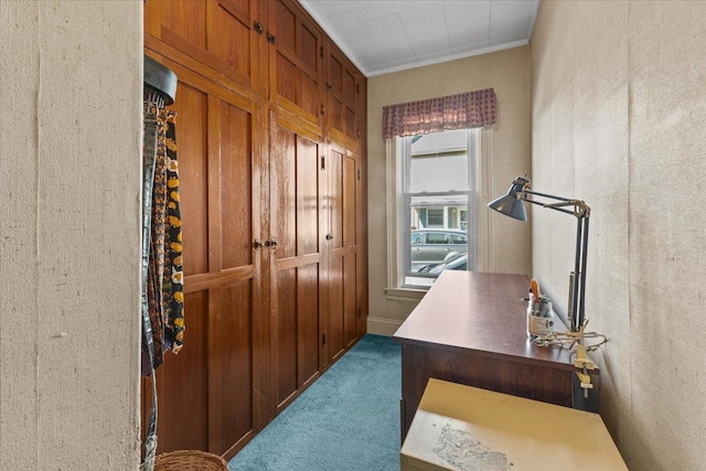 office with crown molding and carpet flooring