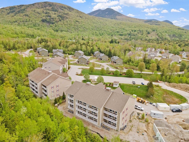 birds eye view of property with a mountain view