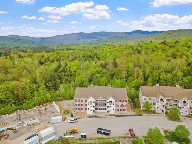 birds eye view of property featuring a mountain view