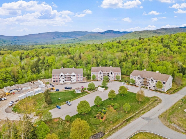 birds eye view of property featuring a mountain view