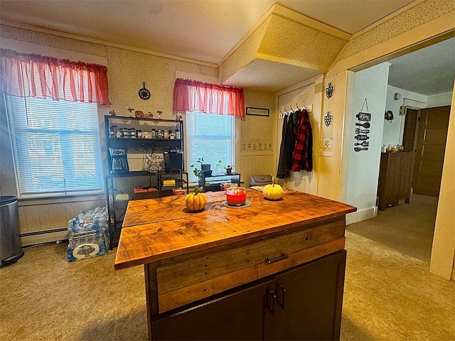 kitchen with wooden counters, plenty of natural light, a baseboard radiator, and carpet