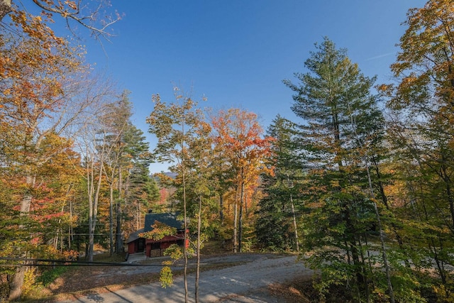 109 Upper Loop, Ludlow, VT 05149 - view of street featuring a wooded view