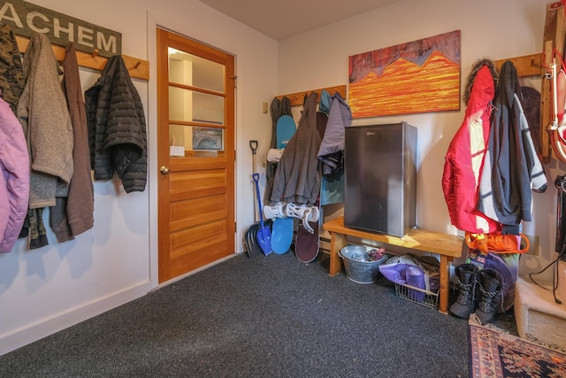 mudroom featuring carpet