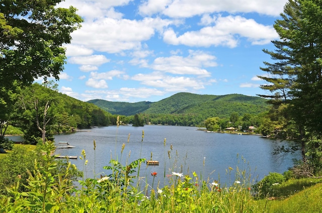 property view of water featuring a mountain view