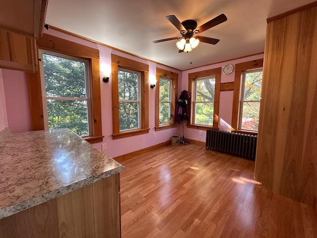 interior space featuring ornamental molding, ceiling fan, light wood-type flooring, and radiator