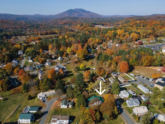 birds eye view of property featuring a mountain view