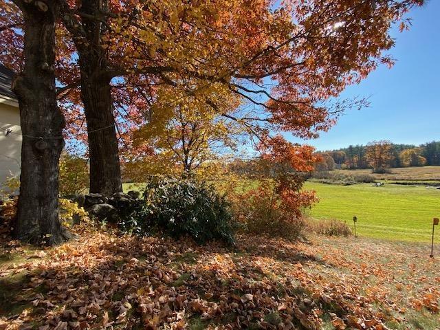44 Pleasant View Rd, Bradford, NH 03221 - view of local wilderness