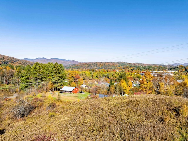 Listing photo 3 for TBD Route 100, Duxbury VT 05660