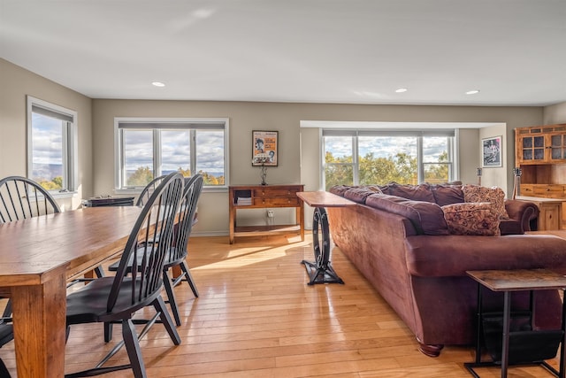 dining area featuring light hardwood / wood-style flooring and a healthy amount of sunlight