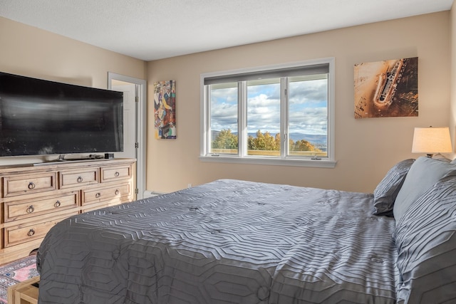 bedroom with a textured ceiling