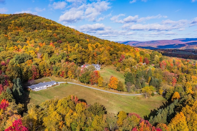 bird's eye view featuring a mountain view