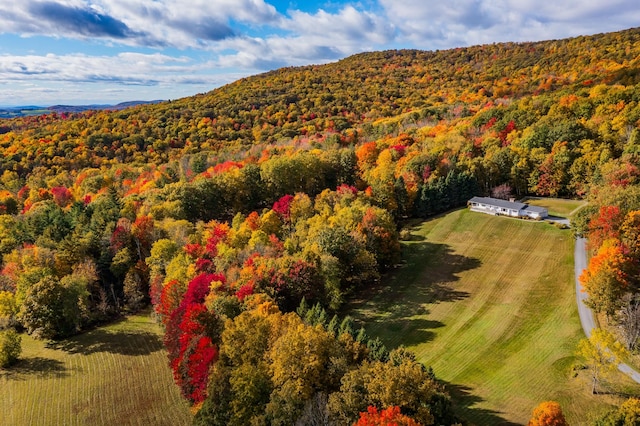 aerial view with a rural view