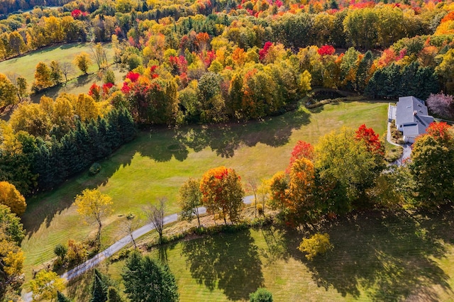 drone / aerial view featuring a rural view