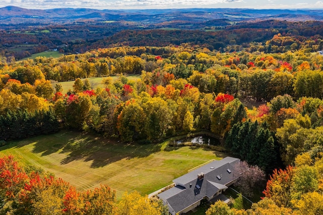 drone / aerial view with a mountain view