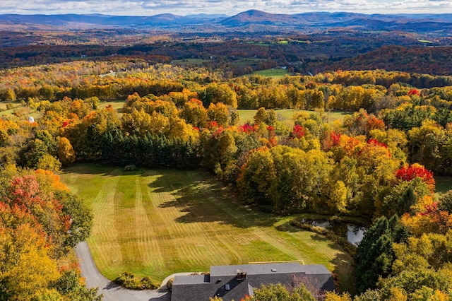 birds eye view of property featuring a mountain view