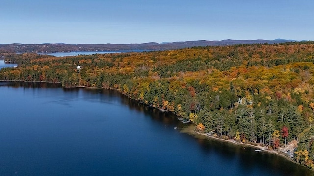 bird's eye view featuring a water and mountain view