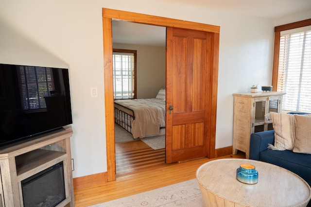 bedroom featuring light hardwood / wood-style floors and multiple windows