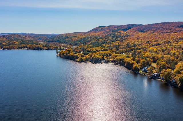 bird's eye view featuring a water and mountain view