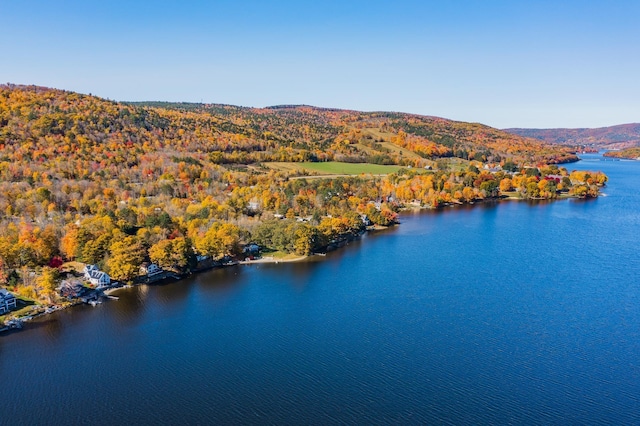 bird's eye view with a water and mountain view