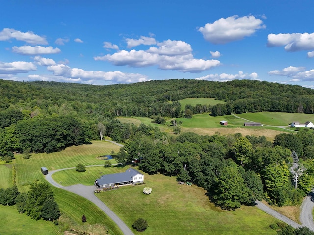 drone / aerial view featuring a rural view