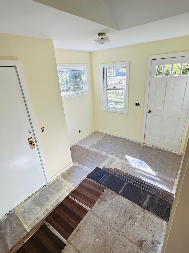 foyer entrance with hardwood / wood-style floors