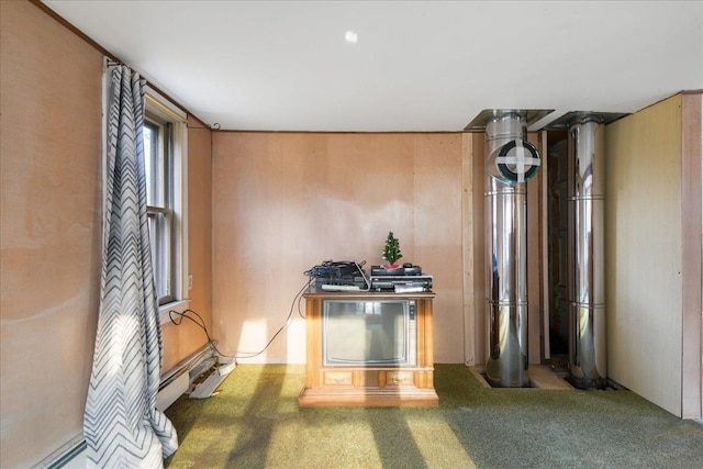 kitchen featuring carpet floors and wood walls