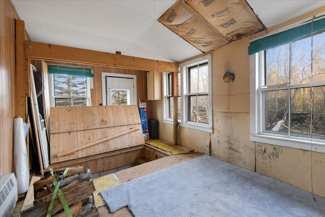 miscellaneous room with lofted ceiling and plenty of natural light