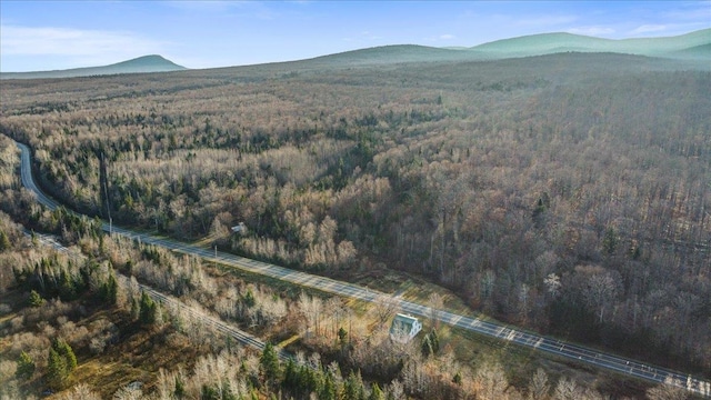 bird's eye view with a mountain view