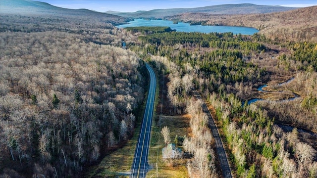 drone / aerial view featuring a water and mountain view