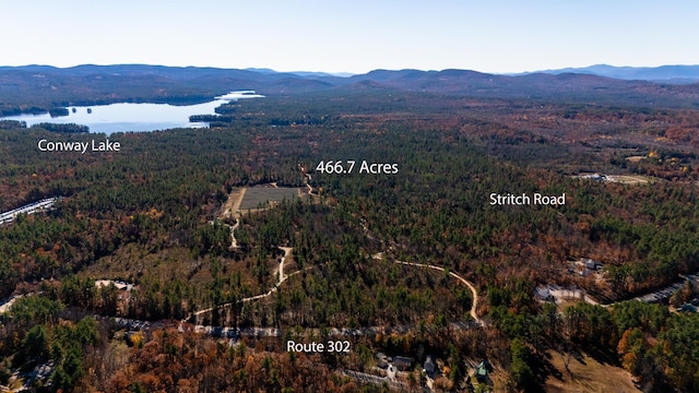 00 Stritch Rd, Conway NH, 03813 land for sale