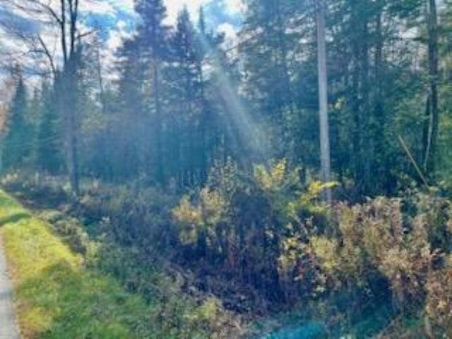 00 Peene Hill Rd, Westmore VT, 05822 land for sale