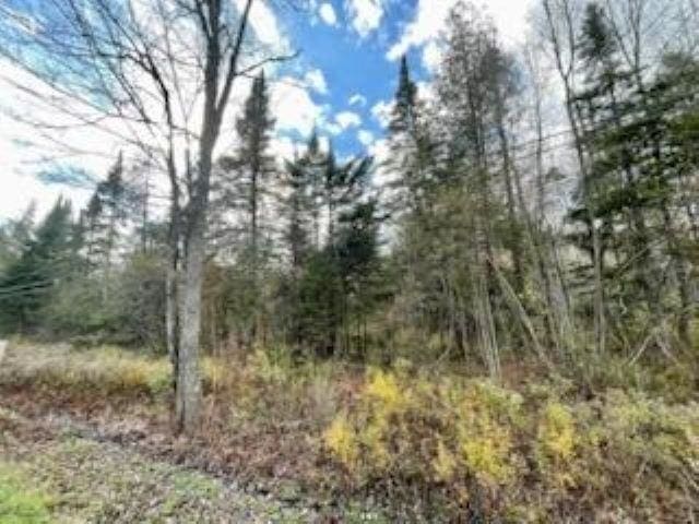 Listing photo 2 for 00 Peene Hill Rd, Westmore VT 05822