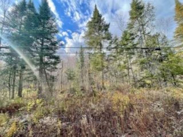 Listing photo 3 for 00 Peene Hill Rd, Westmore VT 05822