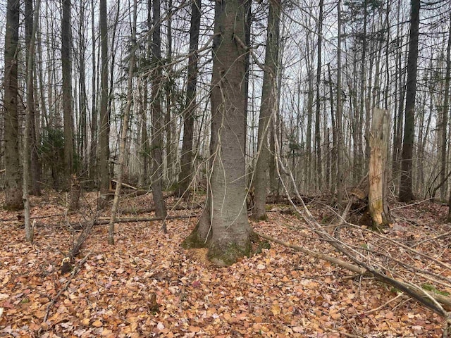 LOT2 Canaan Hill Rd, Averill VT, 05903 land for sale