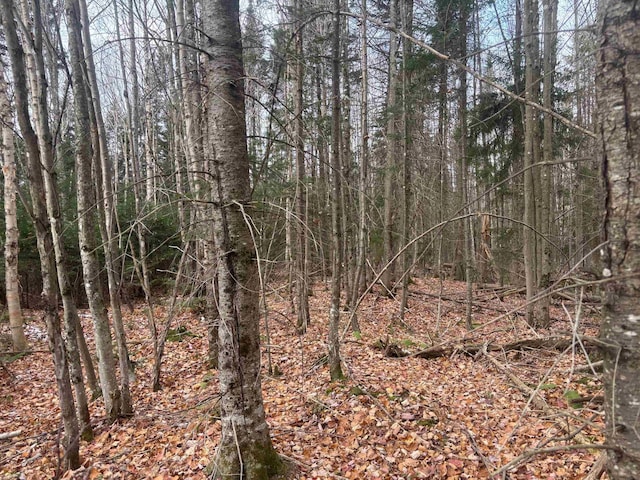 Listing photo 2 for LOT2 Canaan Hill Rd, Averill VT 05903