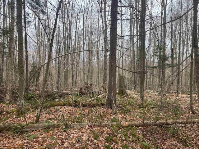 Listing photo 3 for LOT2 Canaan Hill Rd, Averill VT 05903