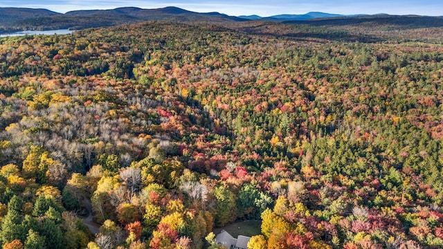 bird's eye view featuring a mountain view