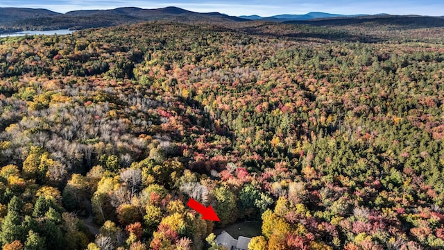 bird's eye view featuring a mountain view