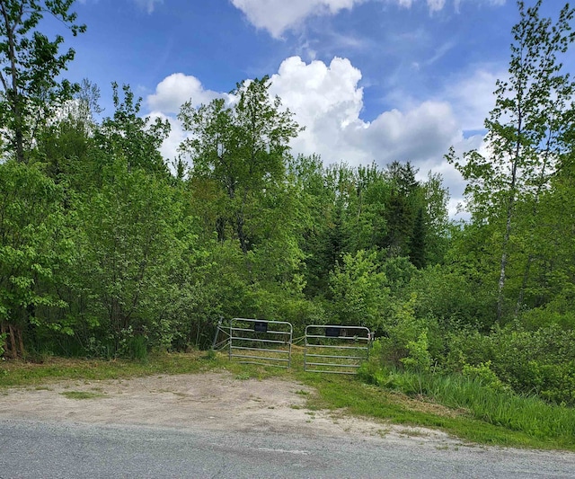 7 Bog Rd, Enfield NH, 03748 land for sale